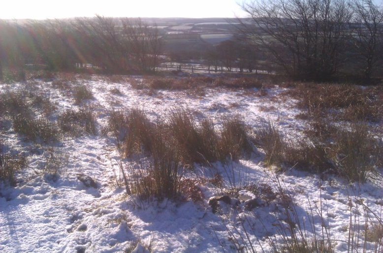 Dunkery Beacon 15.1.13