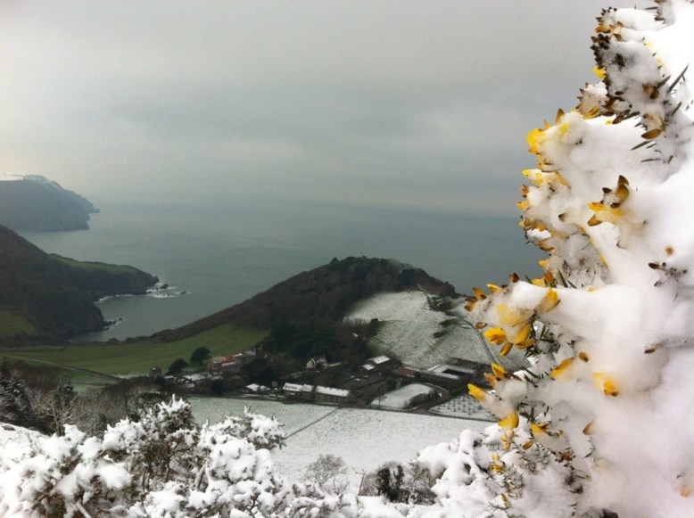 Lee Abbey. By Will Bowden