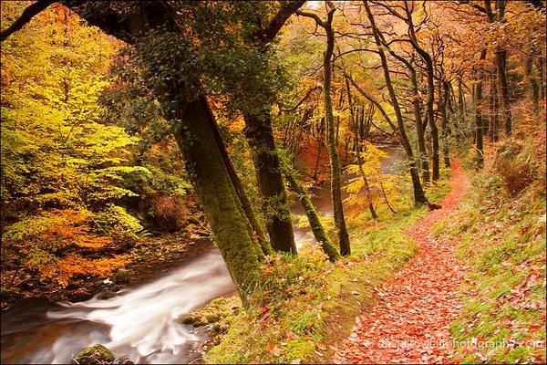 Autumnal walk beside the East Lyn. By Dave Rowlatt http://www.davidjrowlattphotography.com/