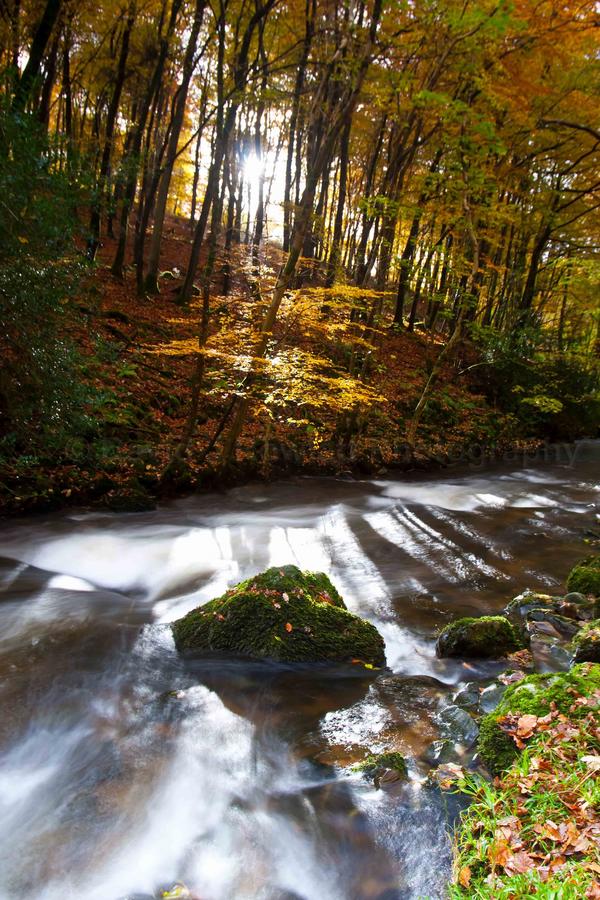 Sun and Water. Photo by Dave Rowlatt