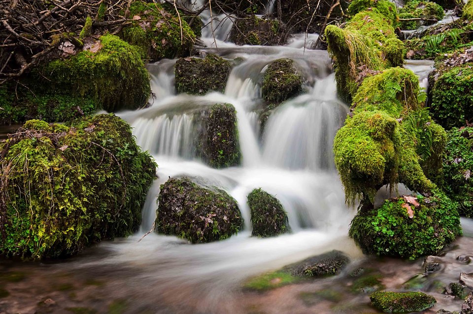 Mossy falls in Horner Woods. By Dave Rowlatt http://www.davidjrowlattphotography.com/