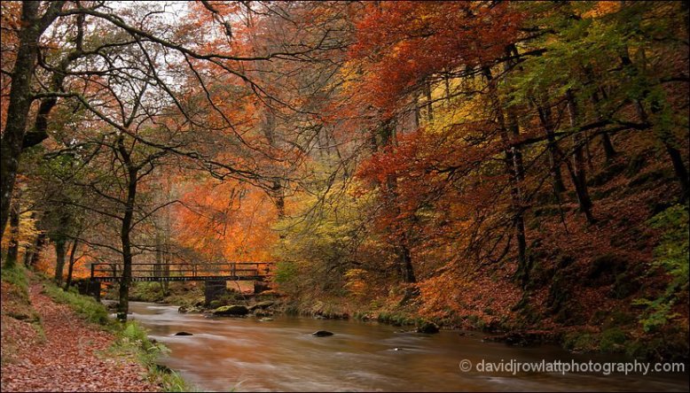 Autumn colours at Ash Bridge. By Dave Rowlatt. http://www.davidjrowlattphotography.com/