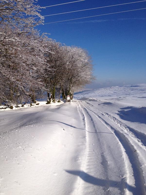 Porlock Toll Road. Photo by David Woodland