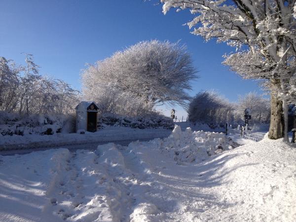 407 David Woodland Top Toll Road