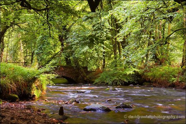 Danesbrook meets River Barle at Castle Bridge – Exmoor 4 all