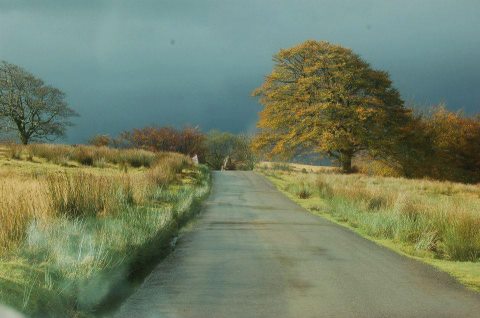 Road to Tarr Steps by Melanie Maddock (photo)