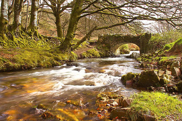 Robbers Bridge in Spring. Robert Hatton