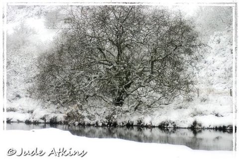 Landacre Bridge, 20 January 2013. By Judy Atkins
