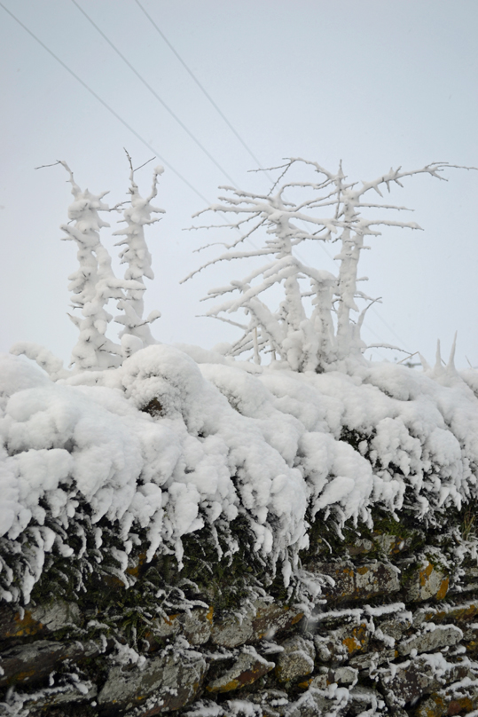 Alta Lyn (Amanda & Phil Perkins, Natural Dye Studio, Lynton