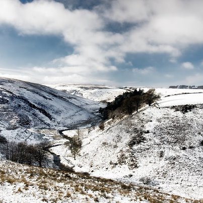 Photo by Dave Rowlatt. http://www.davidjrowlattphotography.com