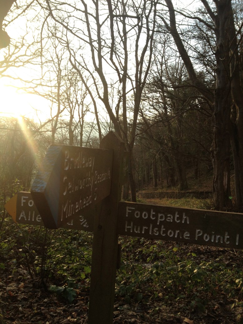 A Walk in the Woods (Elke Winzer)
