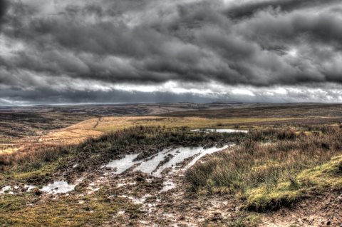 Wild and Wet Exmoor (Peter French)