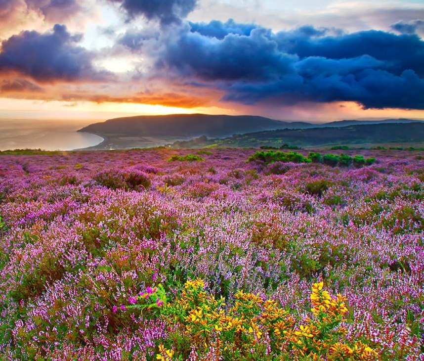 Storm Rolling in over Bossington Bay by Robert Hattonhttp://www.roberthattonphotography.co.uk/