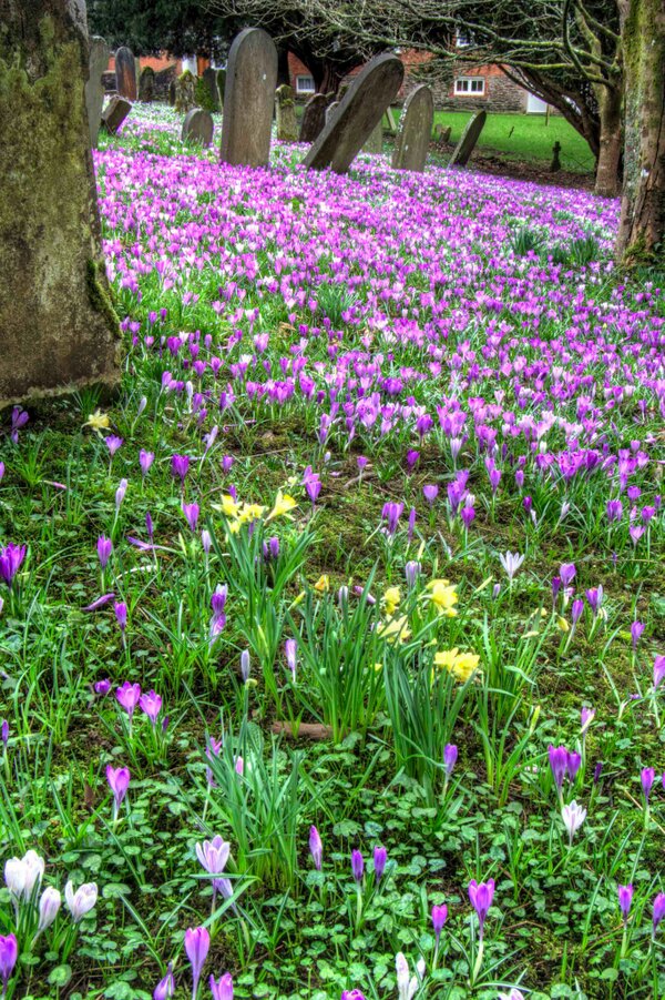 Photo by Dave Rowlatt