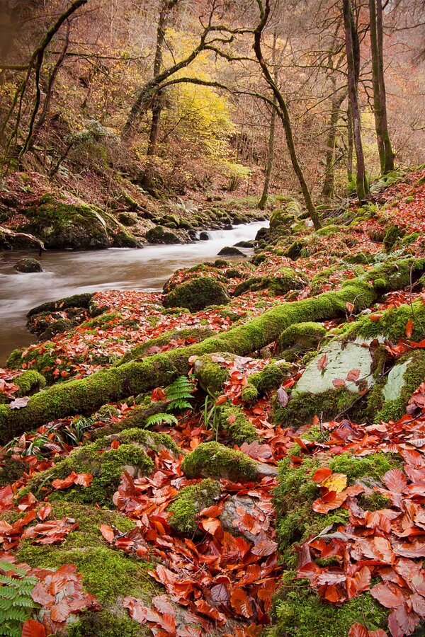 Photo by Dave Rowlatt