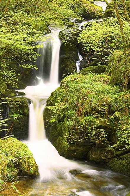 Near Watersmeet. Photo by Rob Hatton