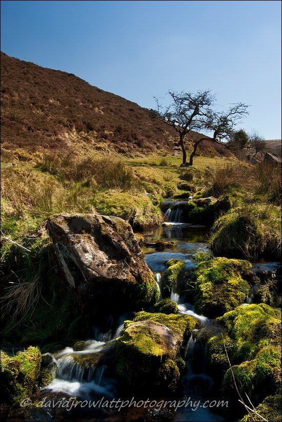 Photo by Dave Rowlatt