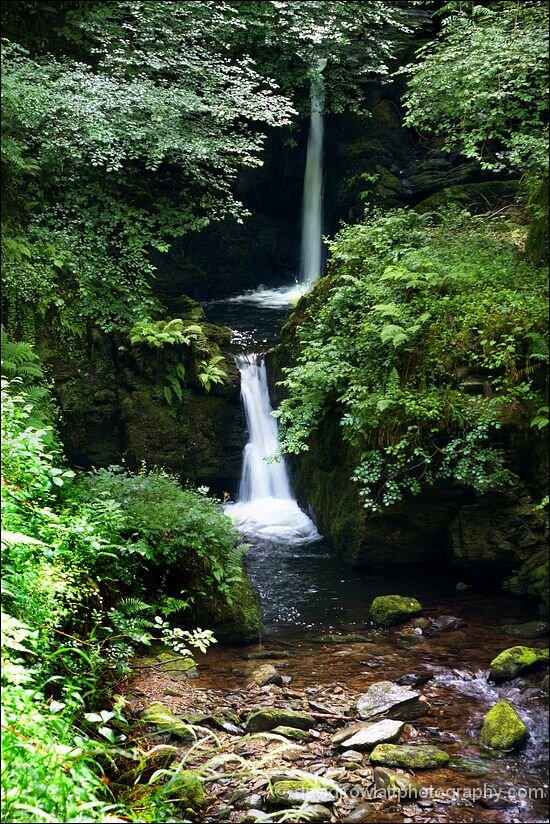 Photo by Dave Rowlatt