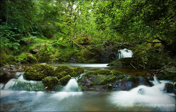 Photo by Dave Rowlatt