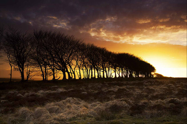 On the road from Exford to Porlock. Photo by Rob Hatton, February 2013