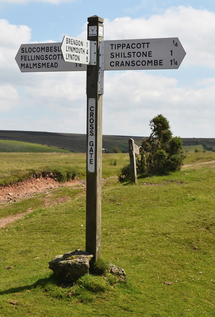 Photo  by Phil Perkins