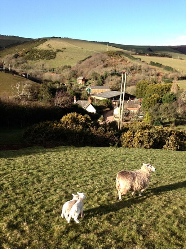 102 Hindon Farm Follow the lead