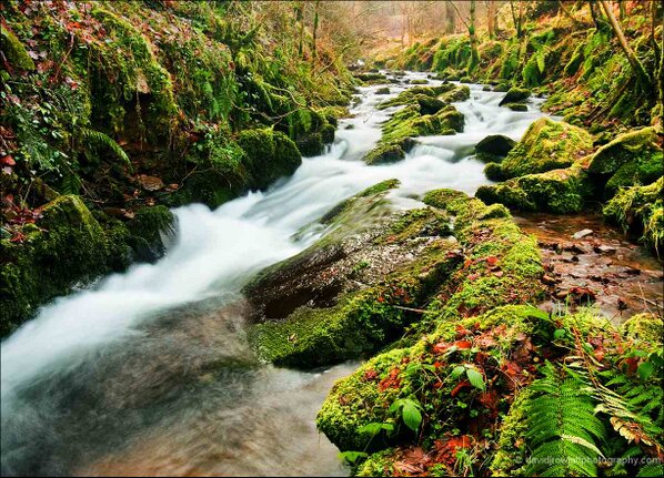 The East Water rapids running through Horner Woods. Photo by Dave Rowlatt