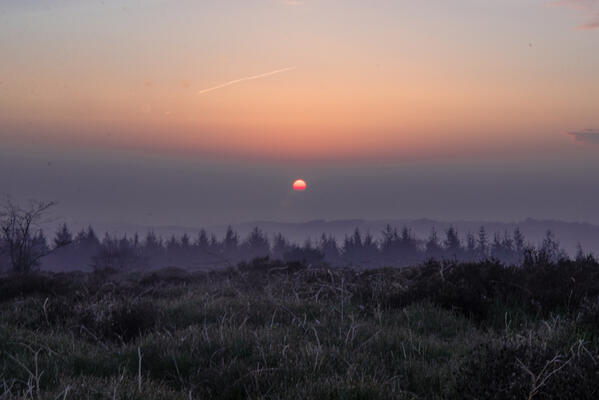 Clayton Jane Photography www.claytonjanephotography.co.uk