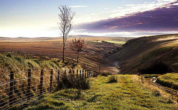 Misty winter morning at Preyway Head. Photo by Rob Hatton.