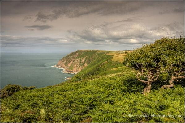 Amazing sea cliffs at Holdstone Down. Photo by Dave Rowlatt