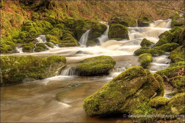 Photo by Dave Rowlatt