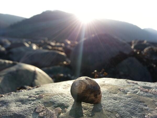 405 Imogen Waddington Backdrop Porlock Weir
