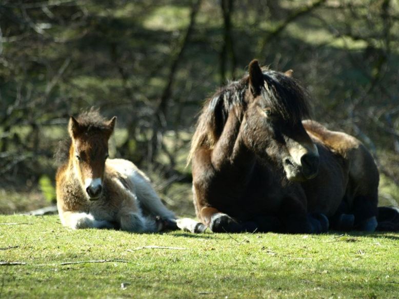 Photo by Rupert Kirby