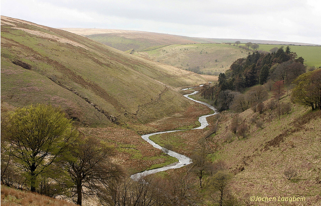 The Barle Valley near Simonsbath. Photo by Jochen Langbein