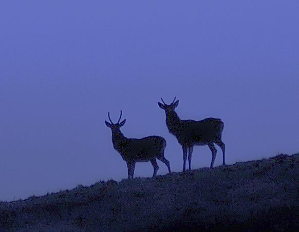 Photo by Rosie Schneider