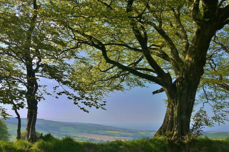 Beautiful West Somerset. Photo by Rosie Schneider