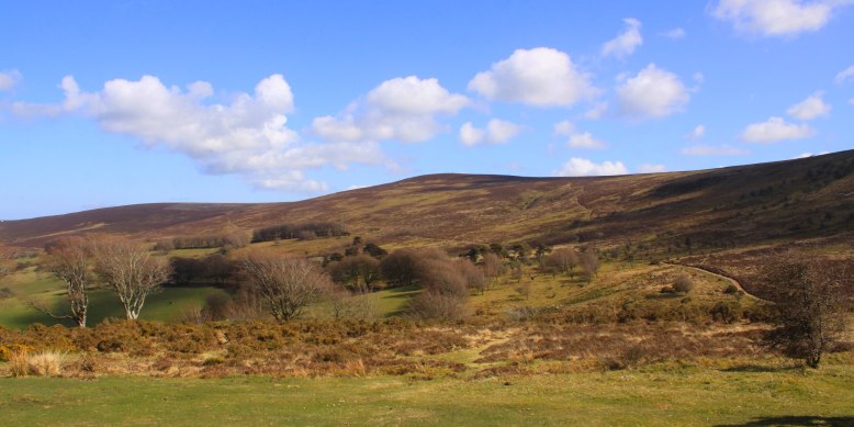 Photo by Peter French