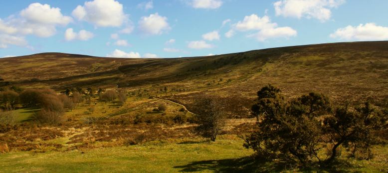 501 Peter French Dunkery