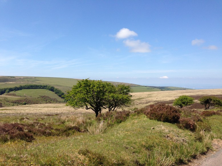 102 Elke Winzer From the moor to the sea