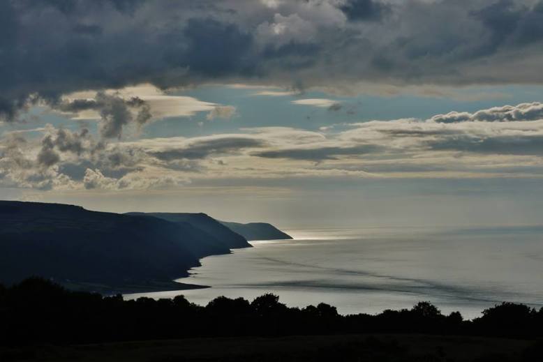 Photo by Rosie Schneider