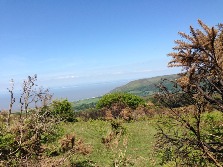 104 Elke Winzer Porlock Bay