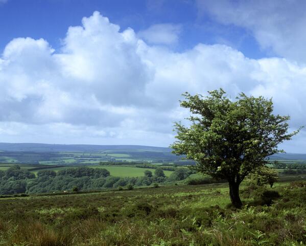 Photo by Nigel Hester