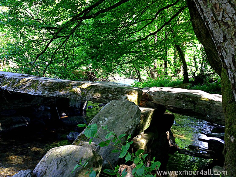 302 Elke Winzer Tarr Steps -2