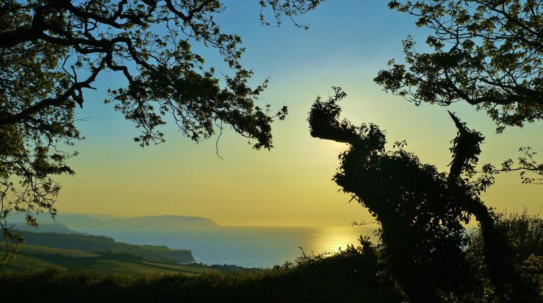 Photo by Rosie Schneider (facebook.com/rosieschneiderphotography)