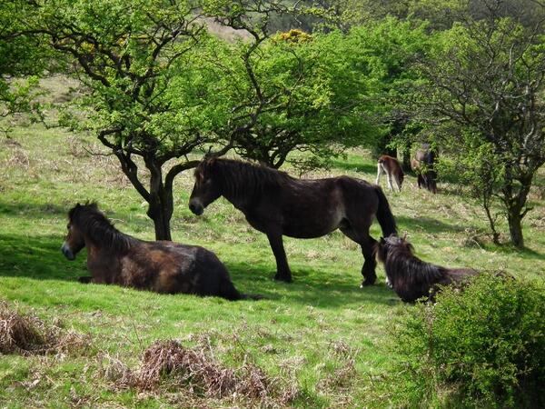 Photo by Darren Chesworth