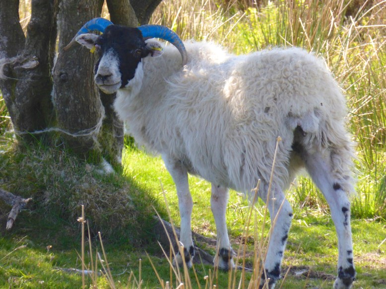 Photo by Bernd Brueggemann