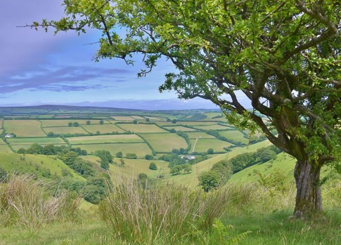 Photo by Rosie Schneider