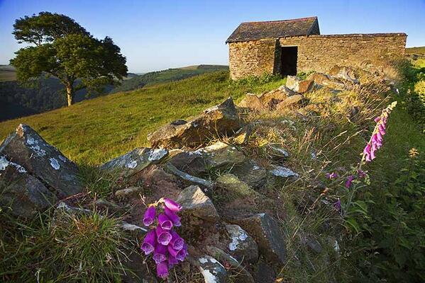 Windy Hill near Countisbury weekend. Photo by Rob Hatton