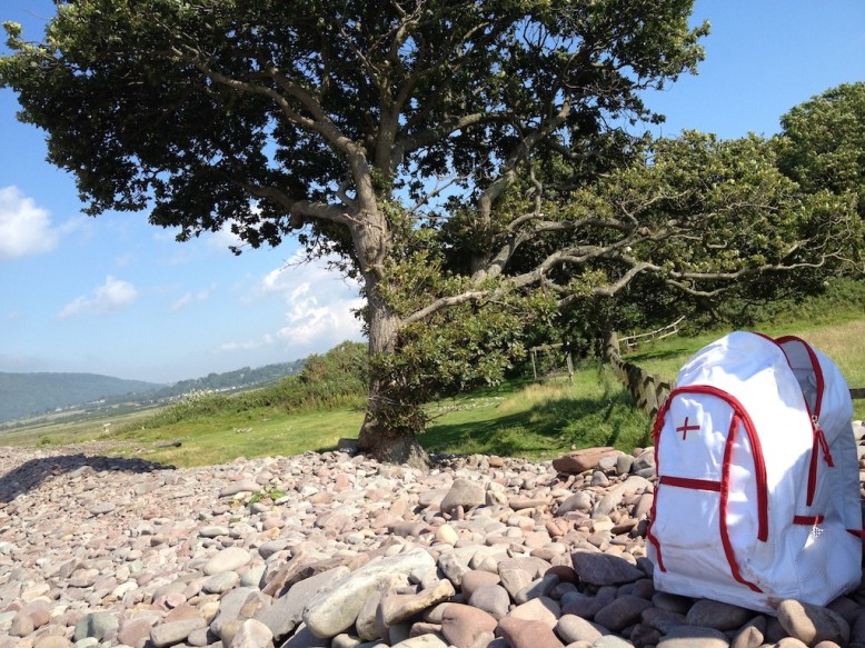 130716 British Picnic Minehead 12 07 260