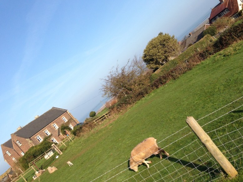 130723 Morning Mood in Porlock Minehead 13 02 012